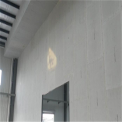 兴文宁波ALC板|EPS加气板隔墙与混凝土整浇联接的实验研讨